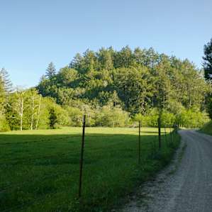 Drive up to the camp