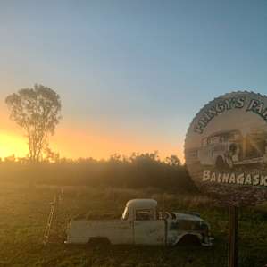 Pringy's Farm Balnagask