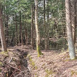Hiking the trails