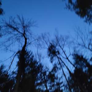 The Night Sky