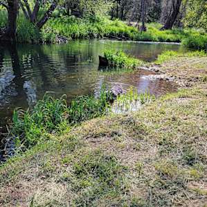 Creek