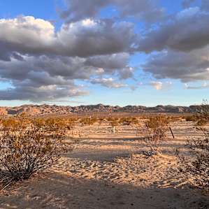Sunfair Vistas, Joshua Tree