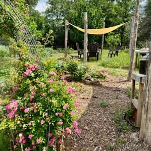 Enjoying the garden