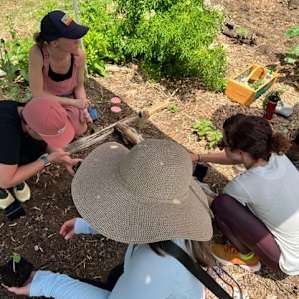 Planting Okra and Black Eyes Peas