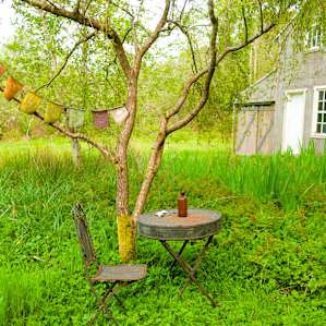 Honey House Meadow Cabin