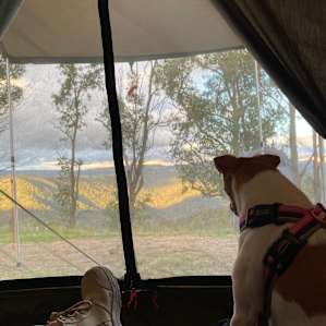 Best View of the Blue Mountains