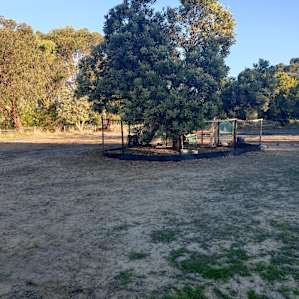 Heaven on the Edge of Suburbia