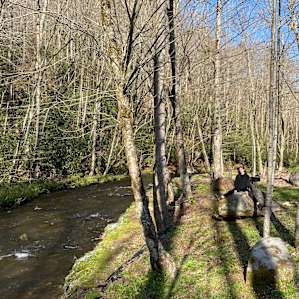 Next to the creek by Site 1