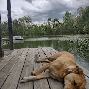 The Harrican Lakehouse