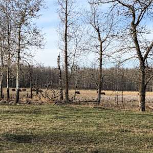 Pasture Camping