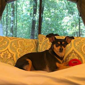 Ferguson, roughing it.