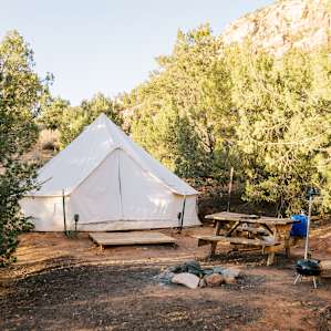 The tent is nestled amongst juniper trees.