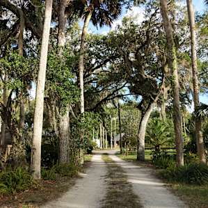 Taste of Old Florida Tent camping