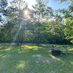 Creek Camping almost Glamping!