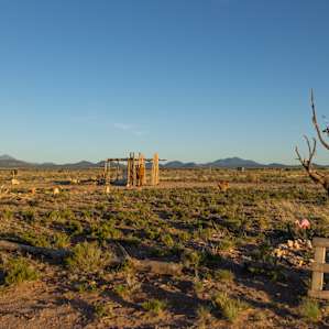 A view of our campsite and part of the campground.