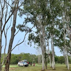 Hervey Bay Wildlife Accomodation