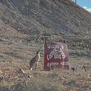 Emu Ridge on Coober Pedy Views