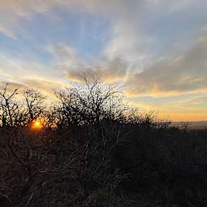 Hummingbird Ranch