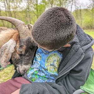 Hummingbird Hollow Farm Sanctuary
