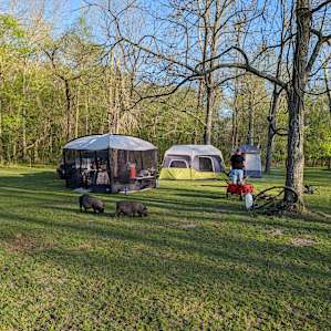 Hummingbird Hollow Farm Sanctuary