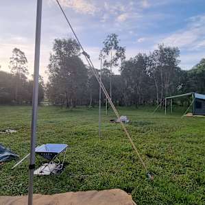 Warrego Warmblood Stud - Dam Side