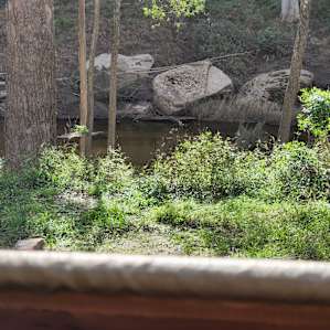 Jila Camp Grounds