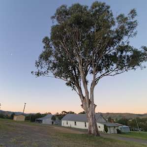 Dungog Showground Powered Site