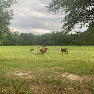 Primitive Camping at Thompson Farm
