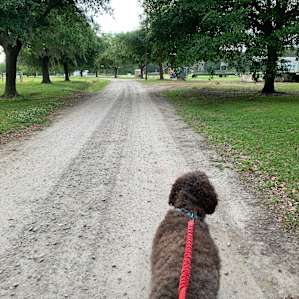 Primitive Camping at Thompson Farm