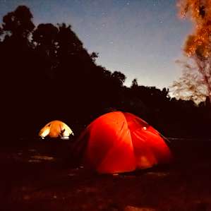 Night stars and fireflies…be still my soul.
