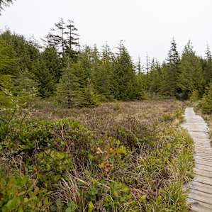 Boggy prairie on the triangle trail