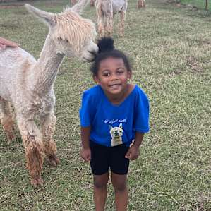 McBeth the most social alpaca checking out my granddaughter she thinks he’s funny!
