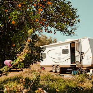 Our camper and orange trees