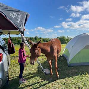 Dragonfly Ranch camping with horses