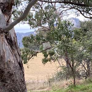 Tenterfield Camp Cubby