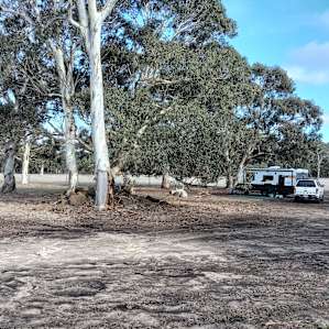 Site 2