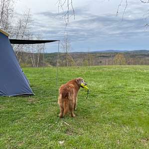 Birch Camp