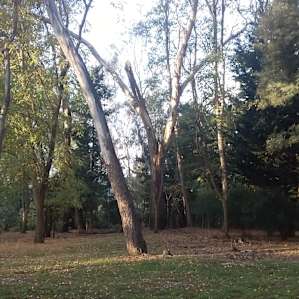 Our view from campsite towards river