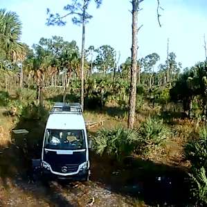 New Nassau Food Forest