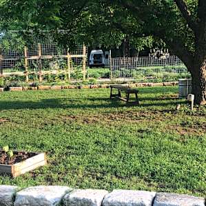 A section of their farm with my van in the background