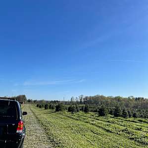 Pioneer Trails Tree Farm