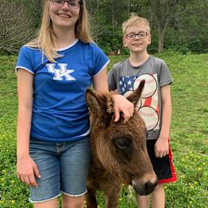 Wildcat Creek Farm