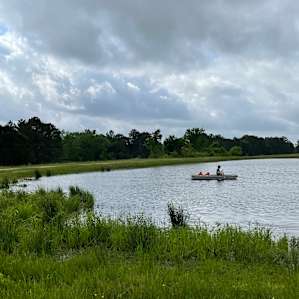 Small pond with several available metal boats