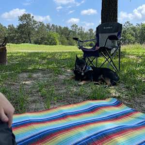 5D Ranch
