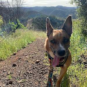 Glen Eden Trail