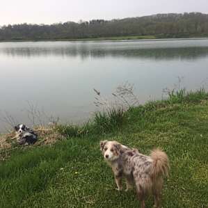 Fish Farm Camp