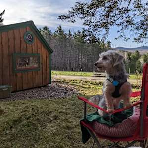 Zen Cabin