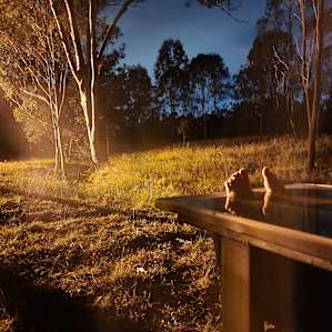 Gums on Billabong