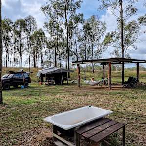 Gums on Billabong