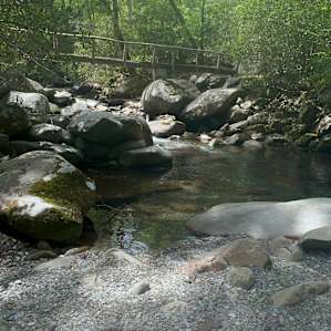 Magical Creekside Escape